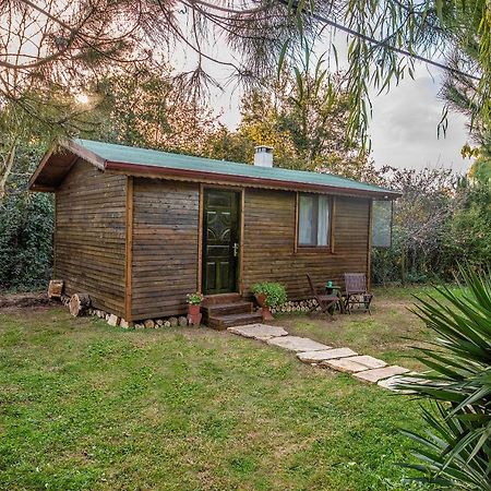Goce Tartaruga Motel מראה חיצוני תמונה
