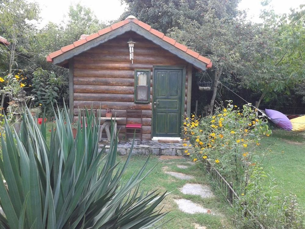 Goce Tartaruga Motel מראה חיצוני תמונה
