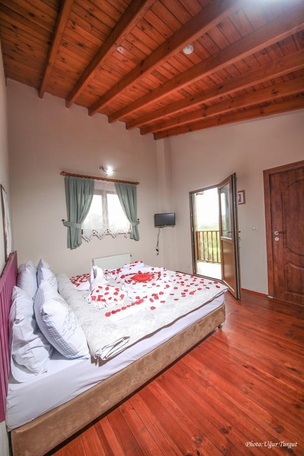 Goce Tartaruga Motel מראה חיצוני תמונה