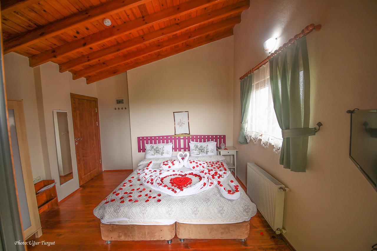 Goce Tartaruga Motel מראה חיצוני תמונה