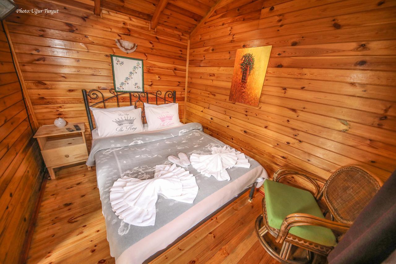 Goce Tartaruga Motel מראה חיצוני תמונה