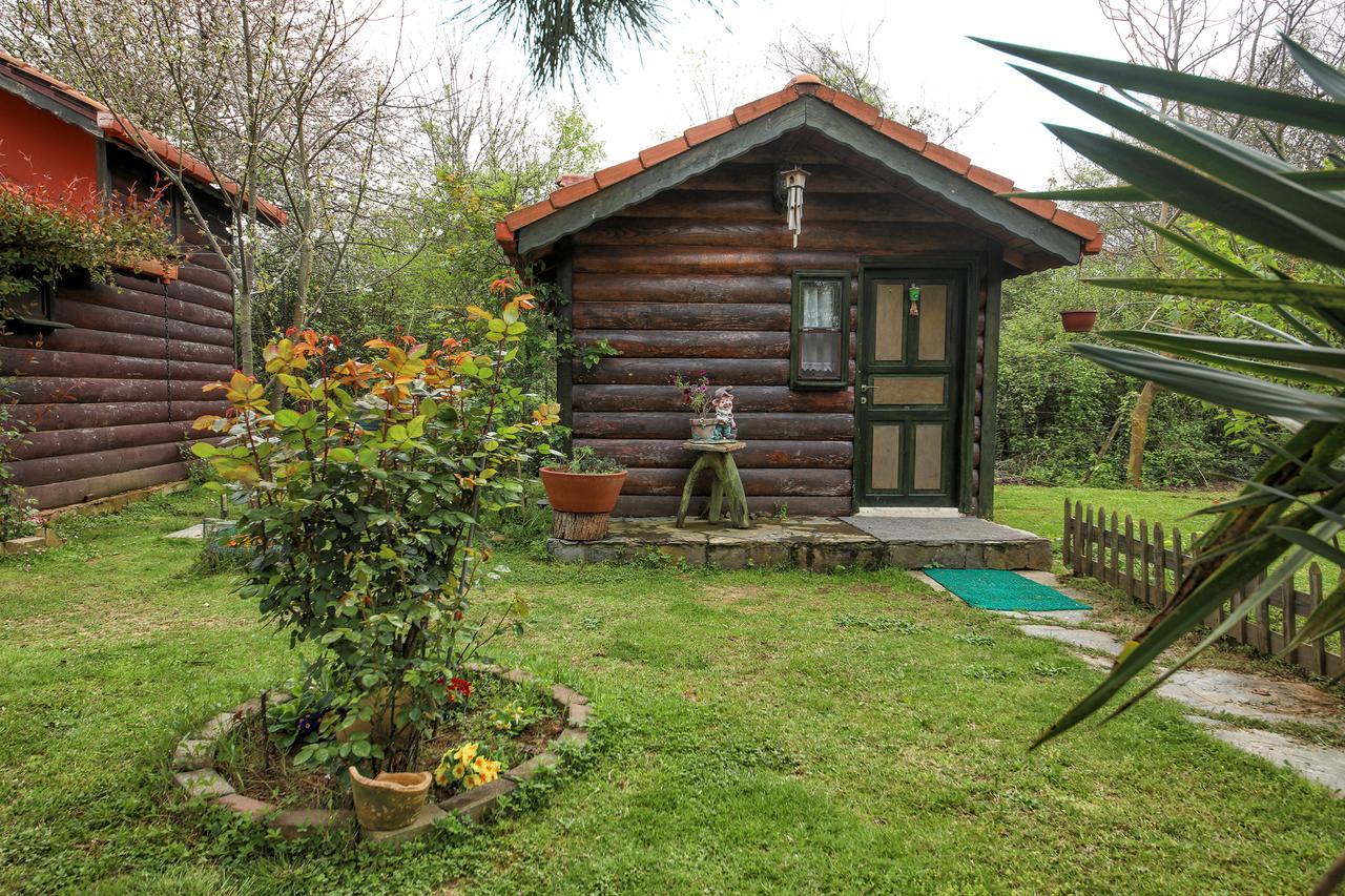 Goce Tartaruga Motel מראה חיצוני תמונה