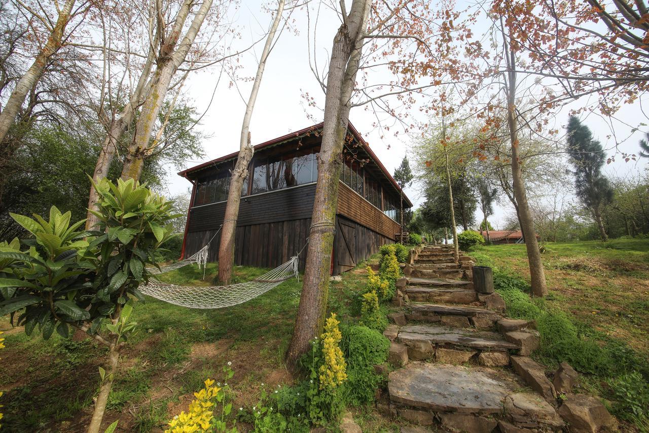 Goce Tartaruga Motel מראה חיצוני תמונה