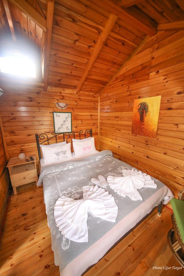 Goce Tartaruga Motel מראה חיצוני תמונה