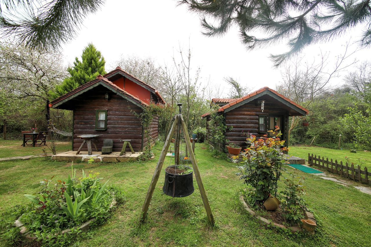 Goce Tartaruga Motel מראה חיצוני תמונה