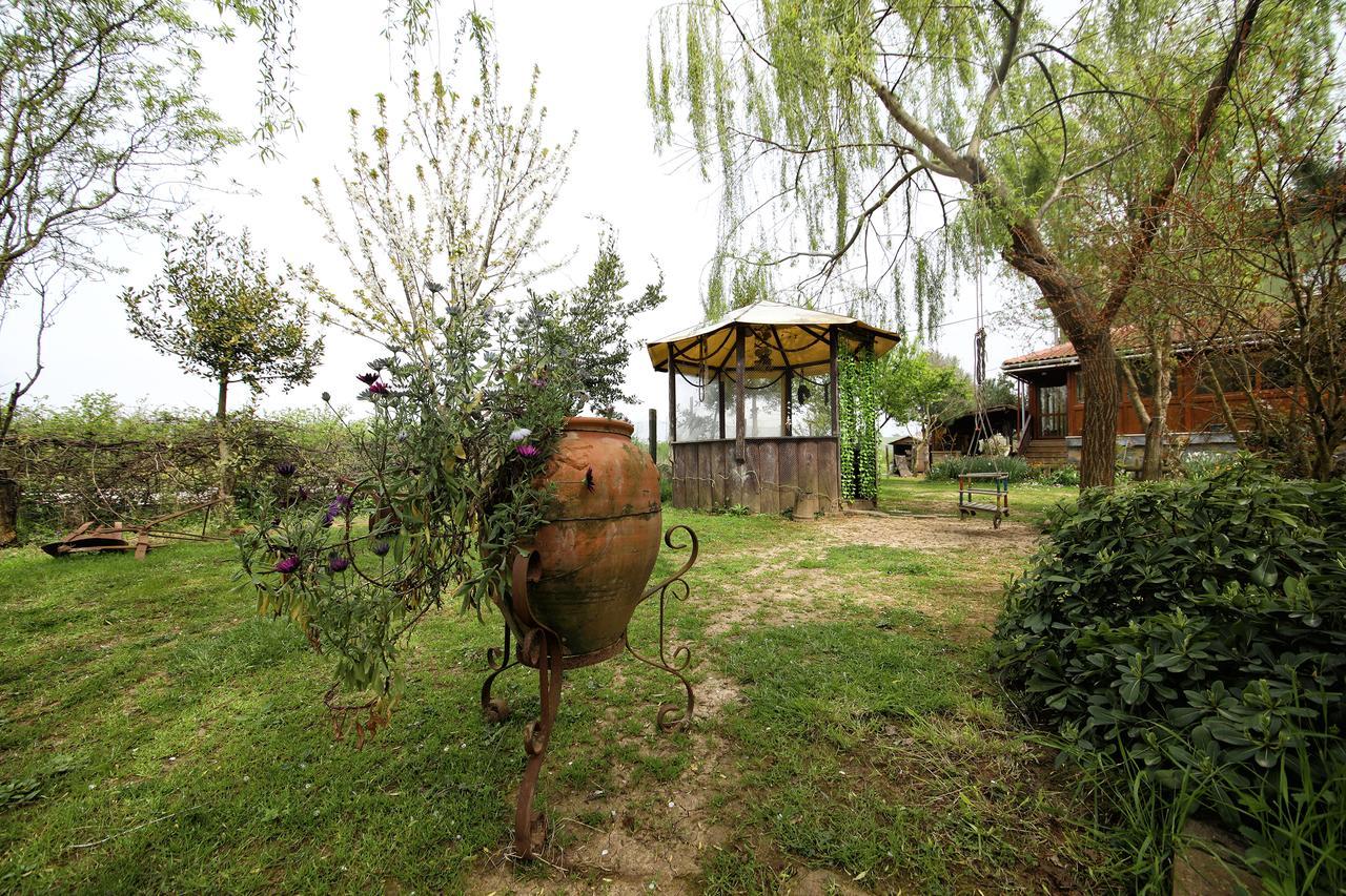 Goce Tartaruga Motel מראה חיצוני תמונה
