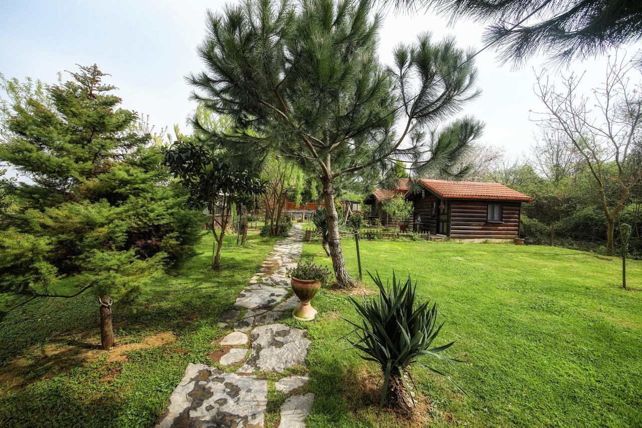 Goce Tartaruga Motel מראה חיצוני תמונה