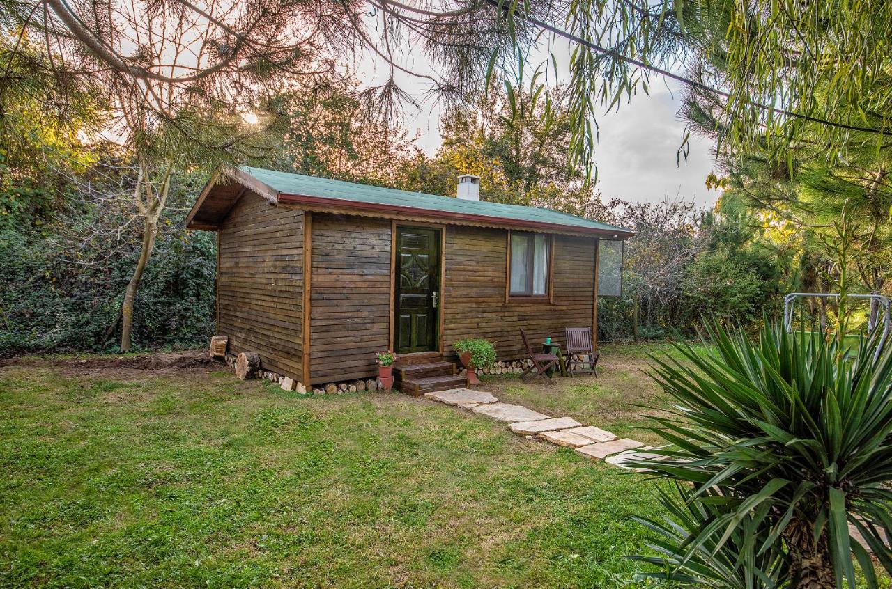 Goce Tartaruga Motel מראה חיצוני תמונה